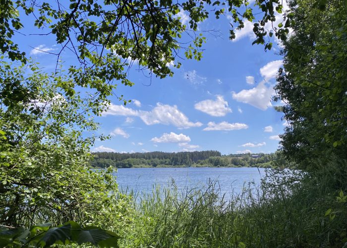 F121A340-5352-4E5F-B1DF-A00D7D3FE4F3_1_201_a